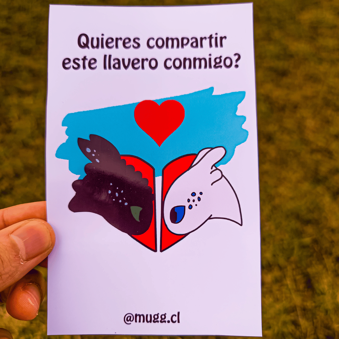 Pack de llaveros Chimuelo y Furia luminosa 0